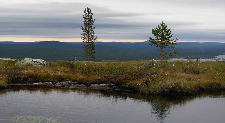 Långsjön-Gåbrek.