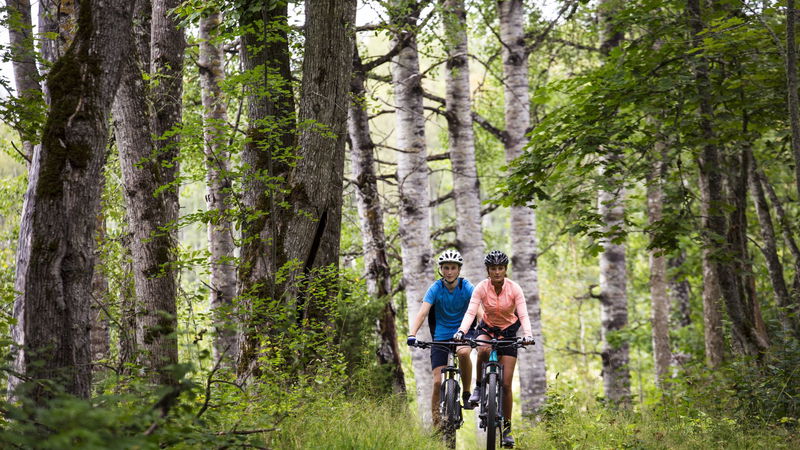 Björkvallen Mountainbike trail