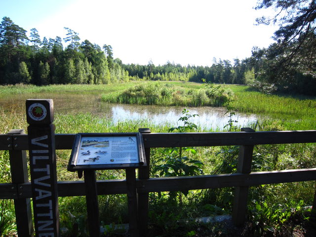 Smultronställe Viltvattnet i Vedyxaskogen