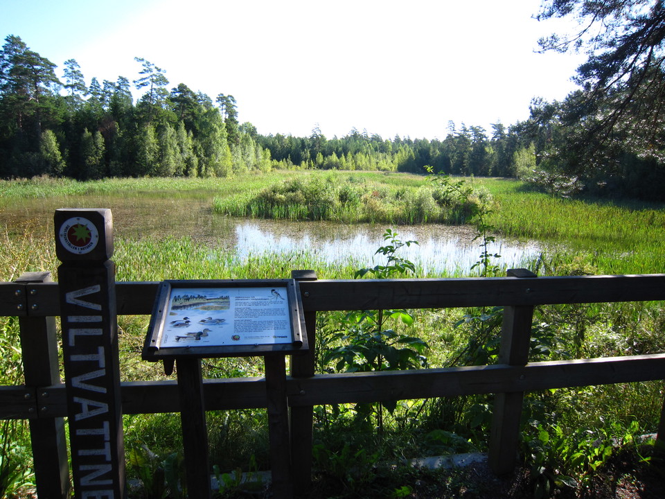 Räcke i förgrunden. Vattenspegel och skog i bakgrunden. Sommarbild