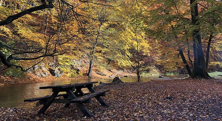 Rastplats vid parkeringen.