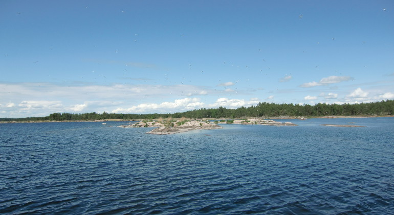 Bitvis är skärgården gyttrig med många kobbar och skär.