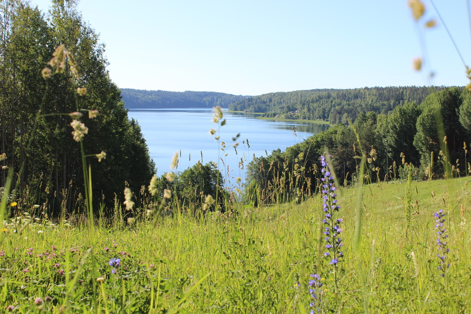 Utsikt över en gräsklädd sluttning. Sluttningen leder ned till en sjö.