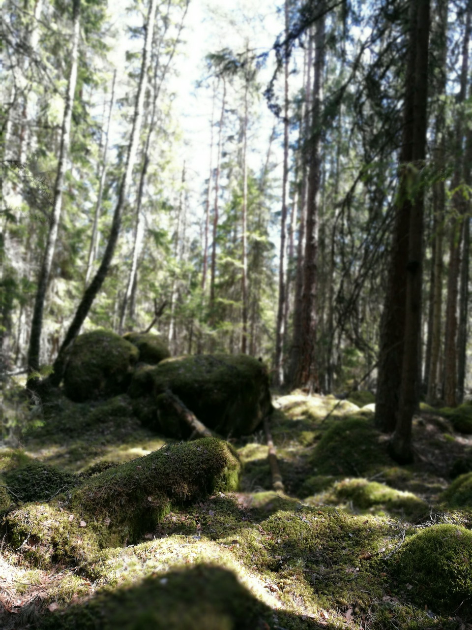 Fotograf: Ellen Flygare