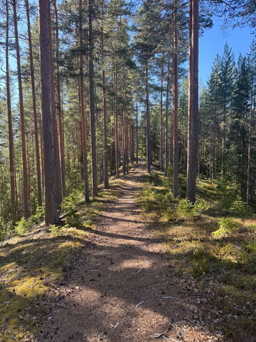 Gula leden. Vargåsen – Bruksån.  Svabensverk