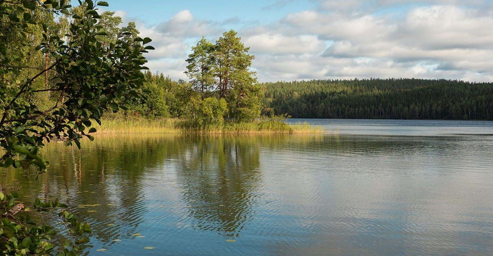 Etapp: Kisa-Horn.
Kinda.