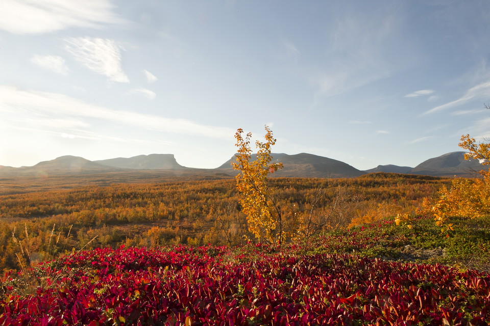 Landskap i höstskrud med Lapporten i bakgrunden