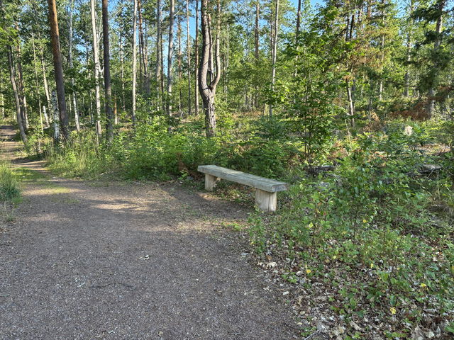 Bench, Alsterån