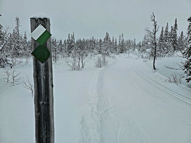 Storliens längdspår 10 km - Högfjällshotellets spårcentral