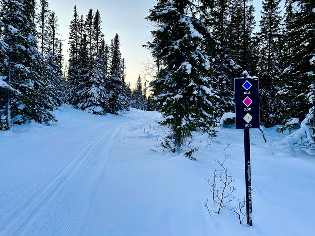 Elljusspåret 1,5 km (längdspår, Trillevallen)