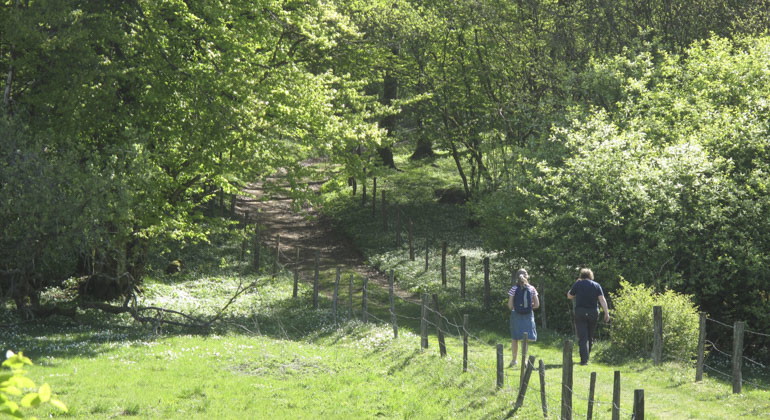 två personer som går på en stig mellan hagar i reservatet