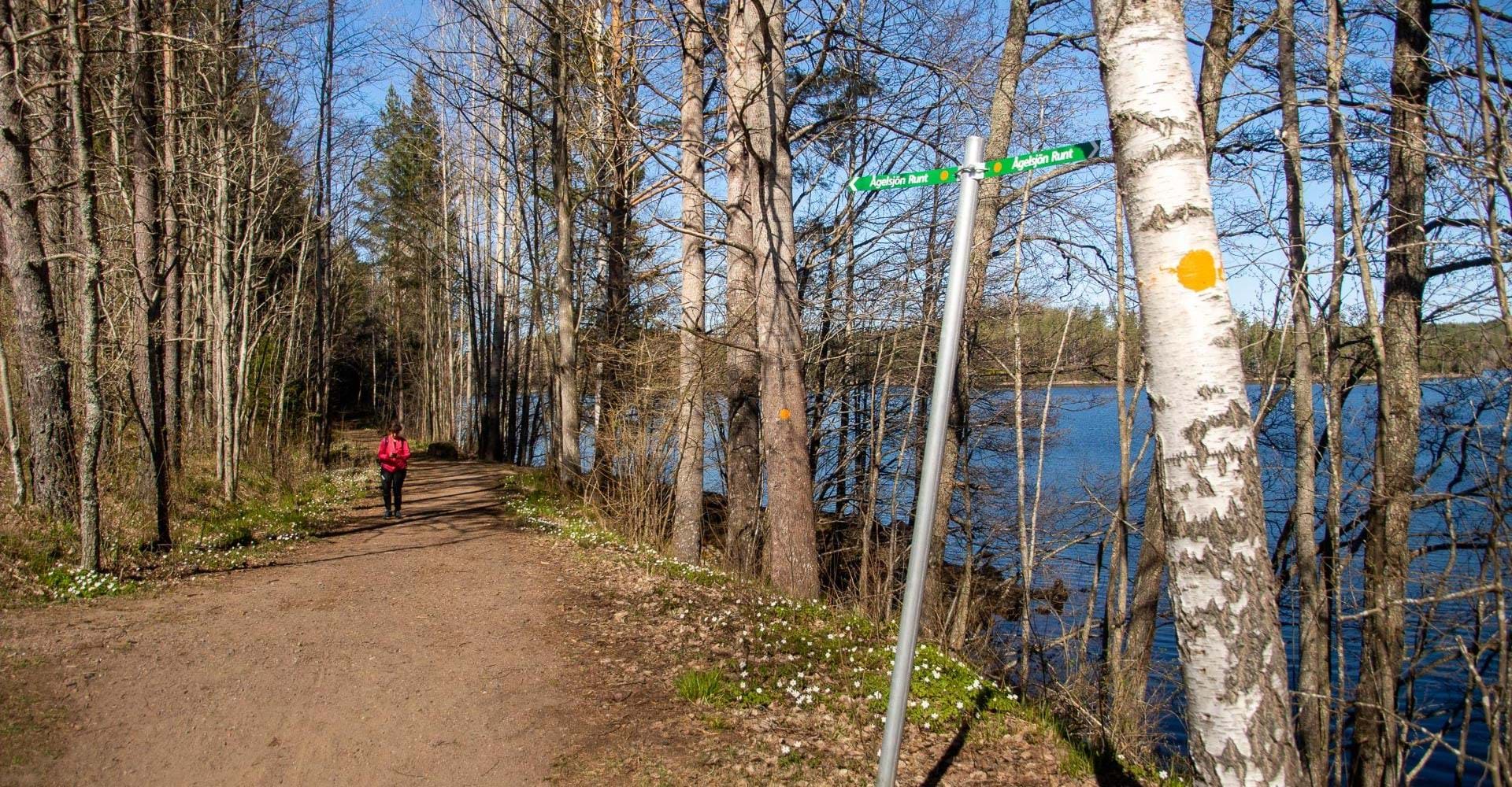 Björkviken runt
Norrköping