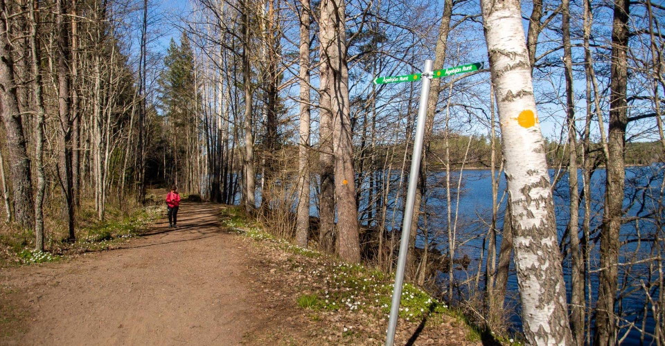 Björkviken runt
Norrköping