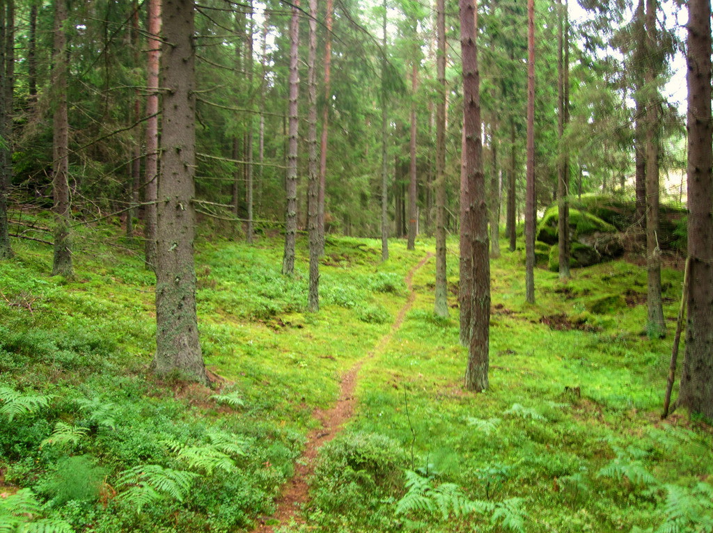 Sätramarken