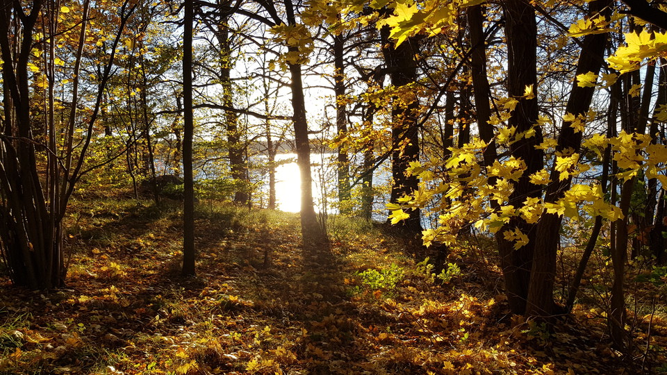 Kappsta. Foto Lidingö stad
