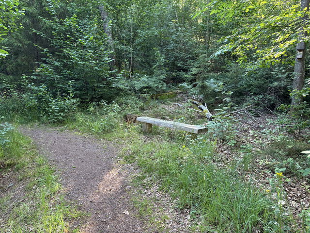 Bench, Alsterån