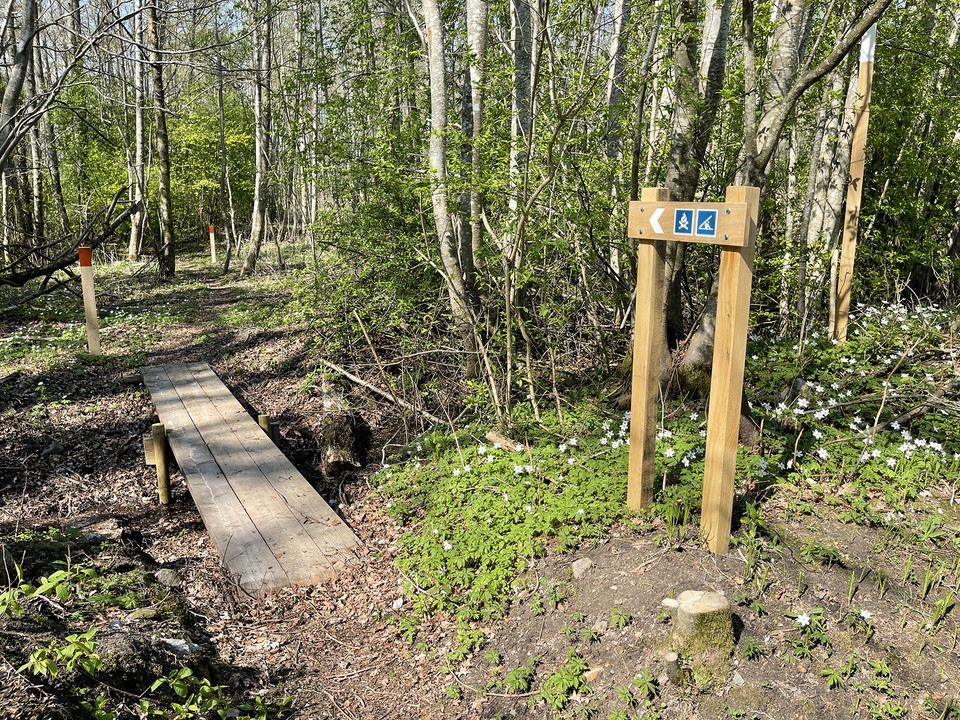 Riktningsvisare och orangemålad ledstolpe på varsin sida av en spång.