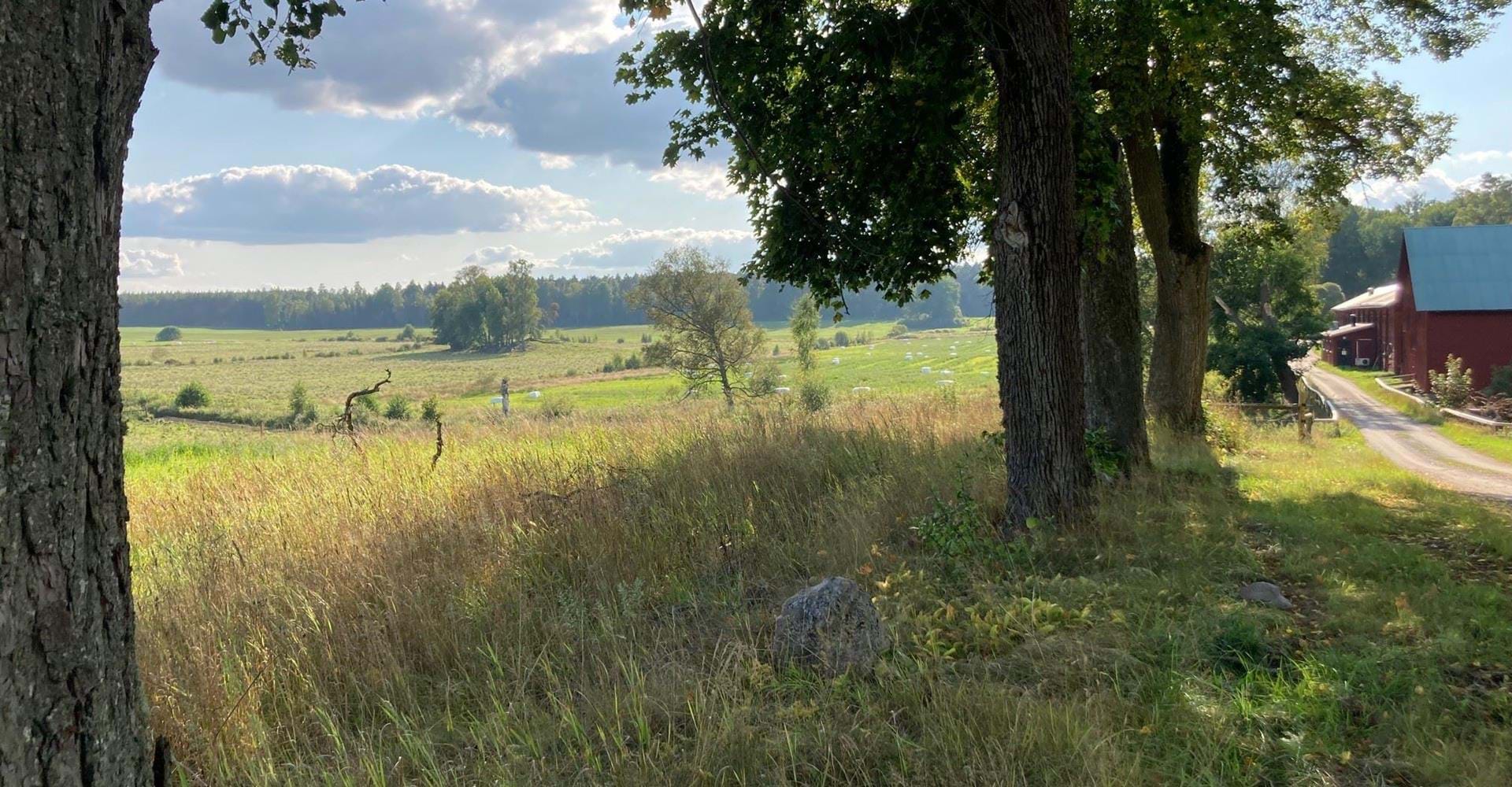 Odlingslandskap vid Älgsjögården Häradstorp Finspång.
