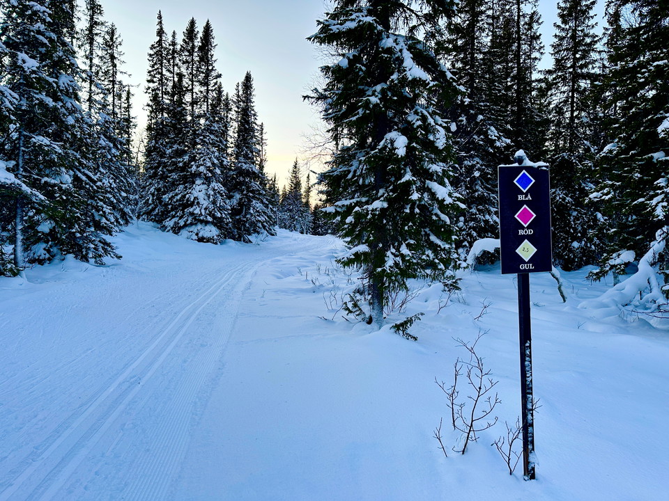 Skidspår som leder in i skogen med hänvisningsskylt bredvid som visar, blå, röd och gul led.