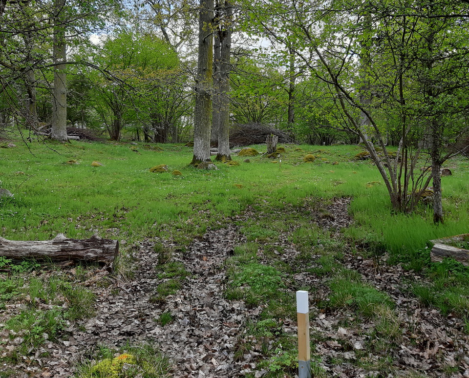 Östra lindöslingan