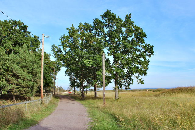 Norrliden motionsspår