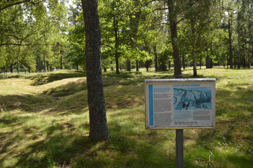 Alma Skog