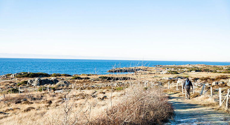 man som går mot havet en kylig dag