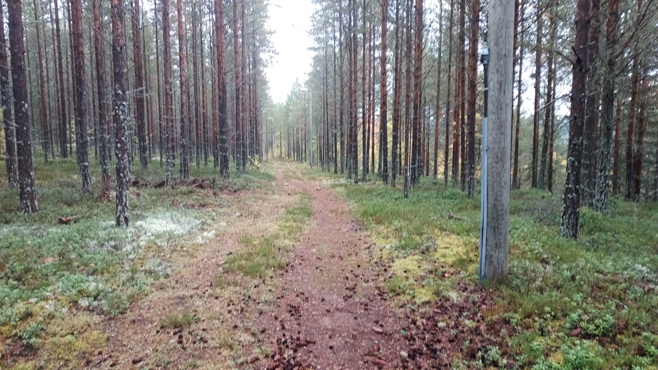 Kårböle Elljusspår