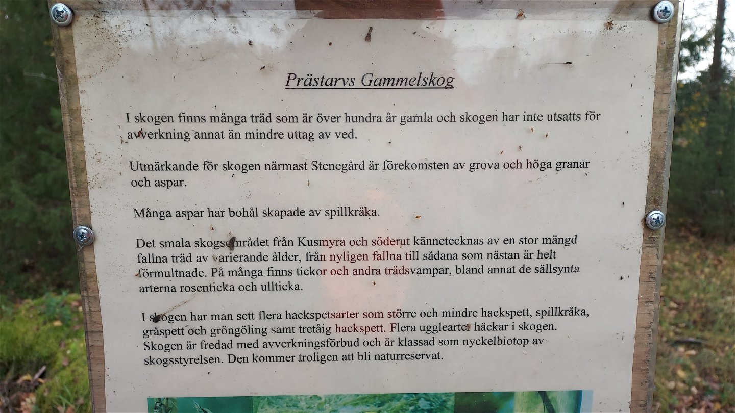 Information om Prästarvs gammelskog