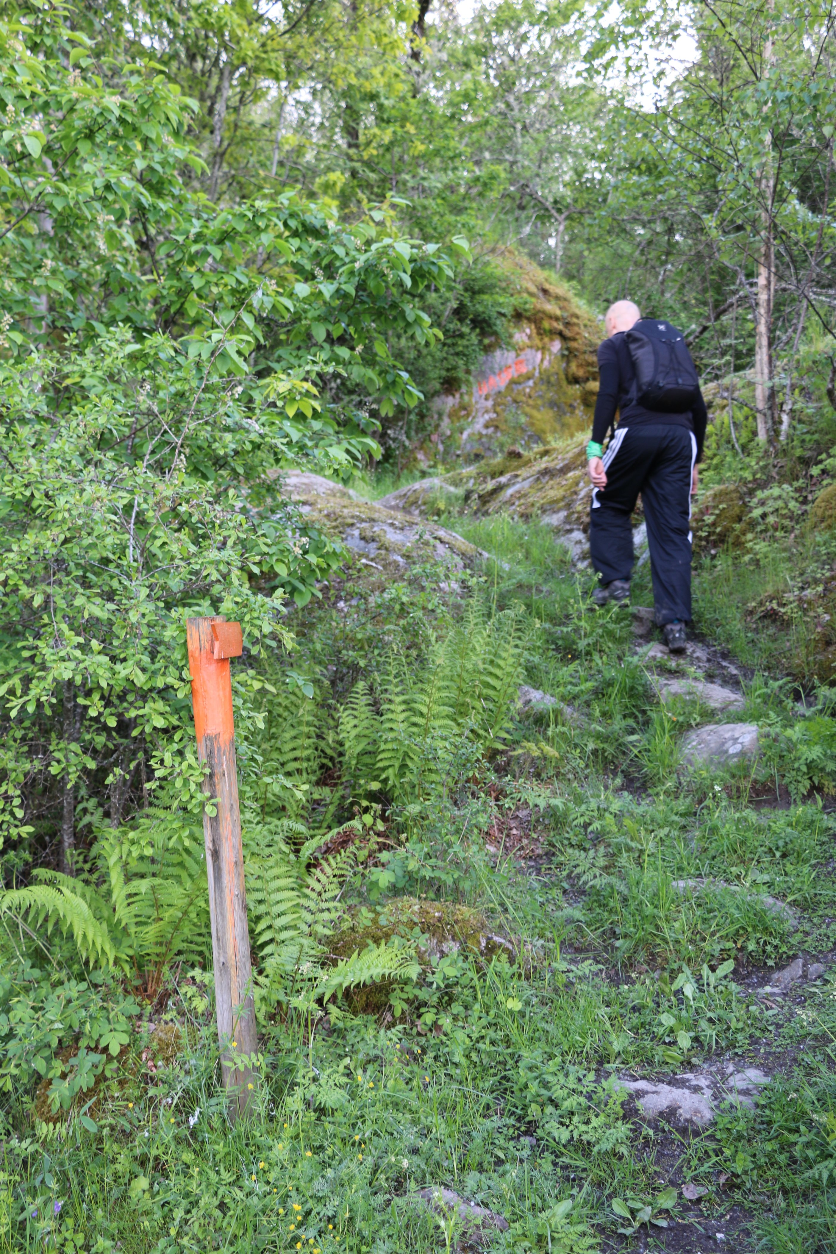 En person går uppför en stenig stig med orange pil på stolpe som visar vägen.