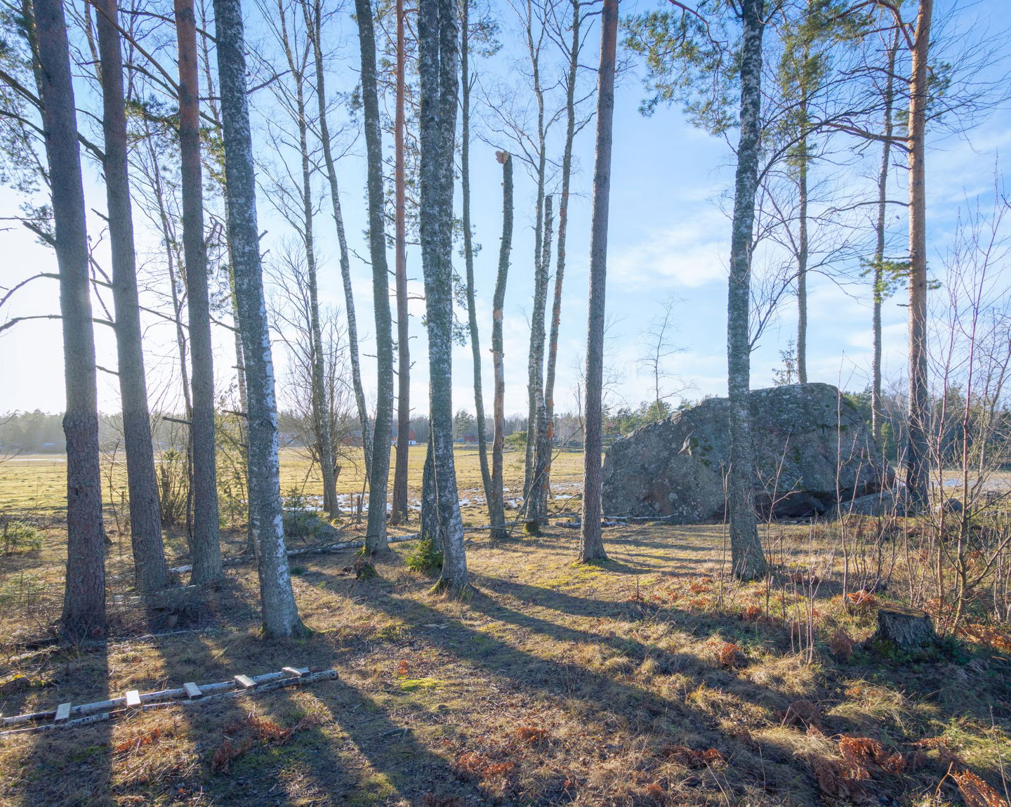 Stor sten i skogen