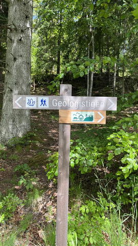 Geologistigen