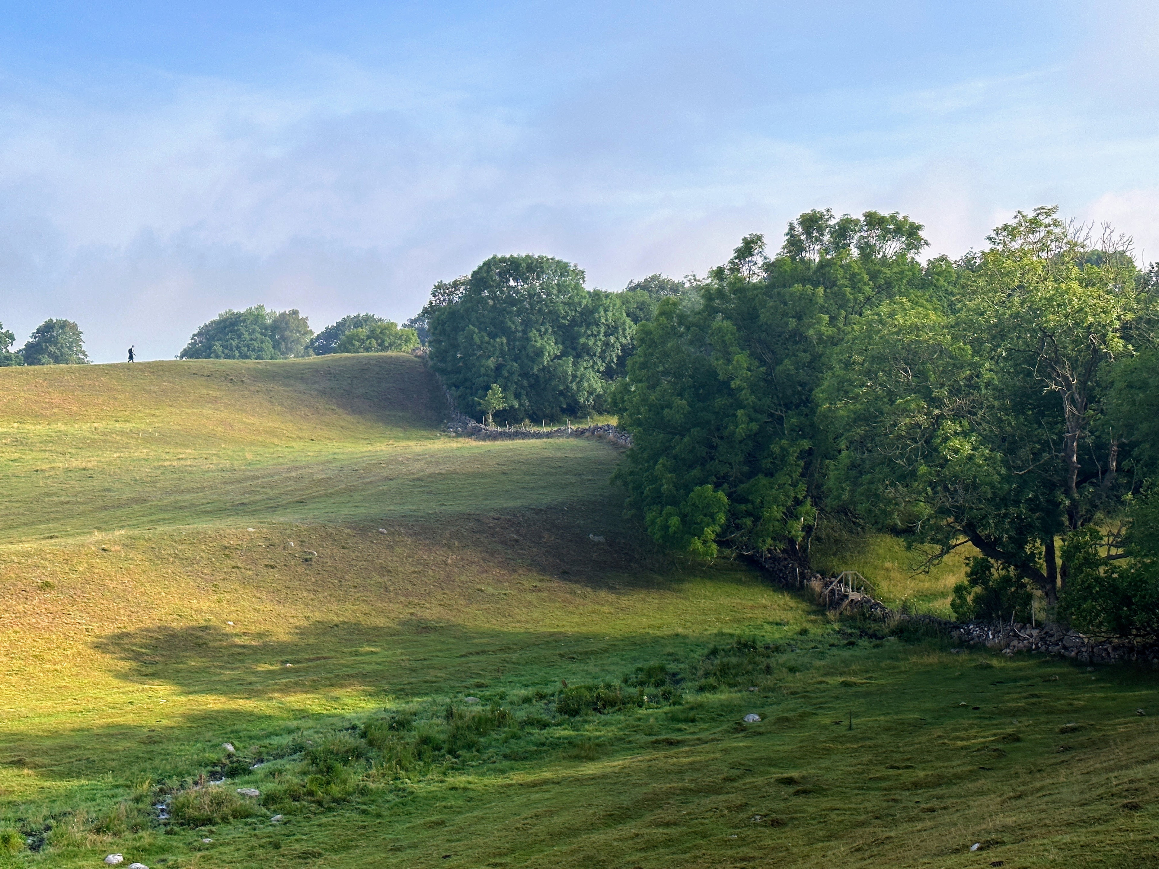 Grevie åsar naturreservat…