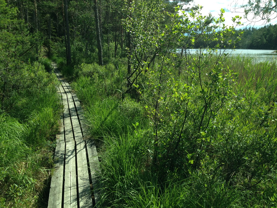 andra genom reservatet på vandringslederna