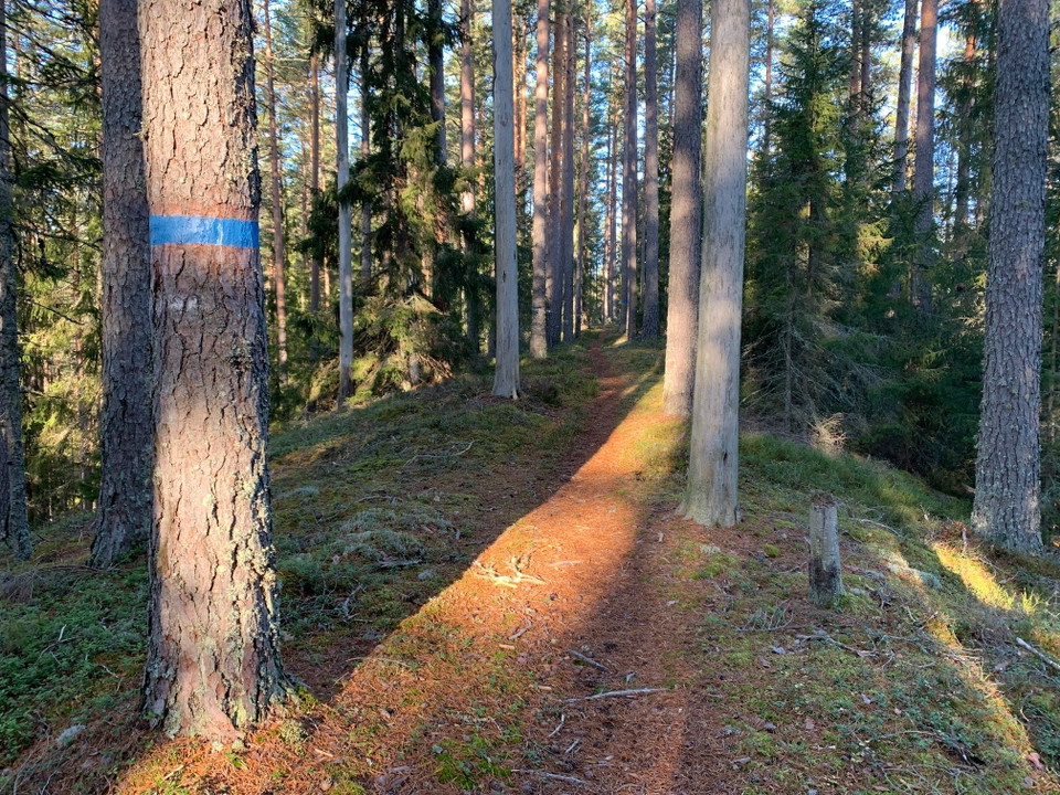 Fina leder i reservatet