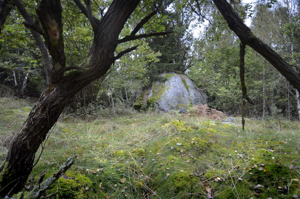 Foto Olof Näslund