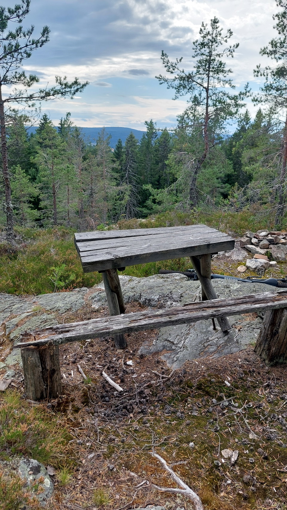 Utsikt från Hammalåsen 