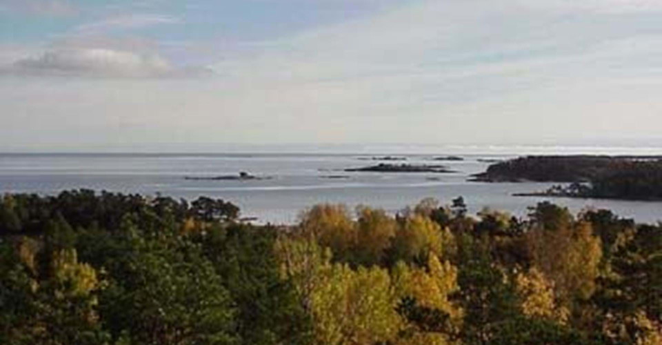 Utsikt från Eköns naturreservat
Gryt rundslinga
Valdemarsvik