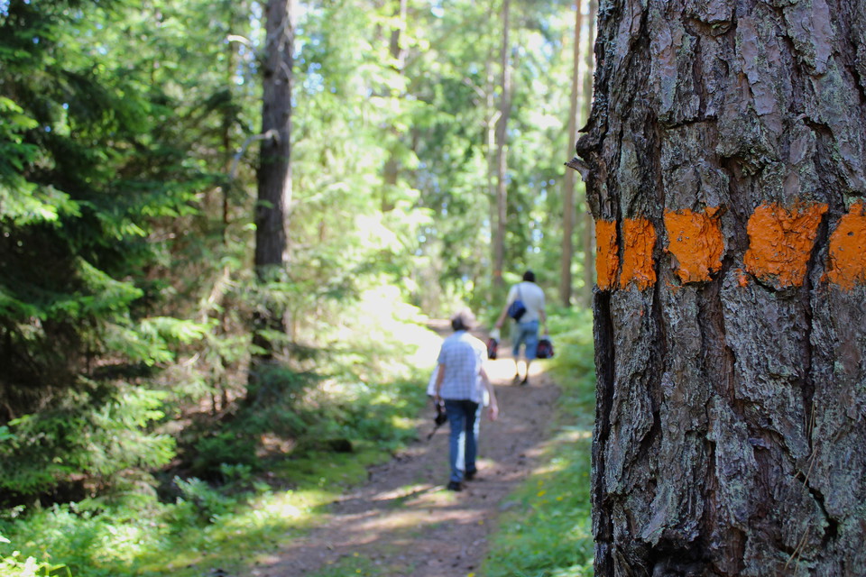 Härjarö.