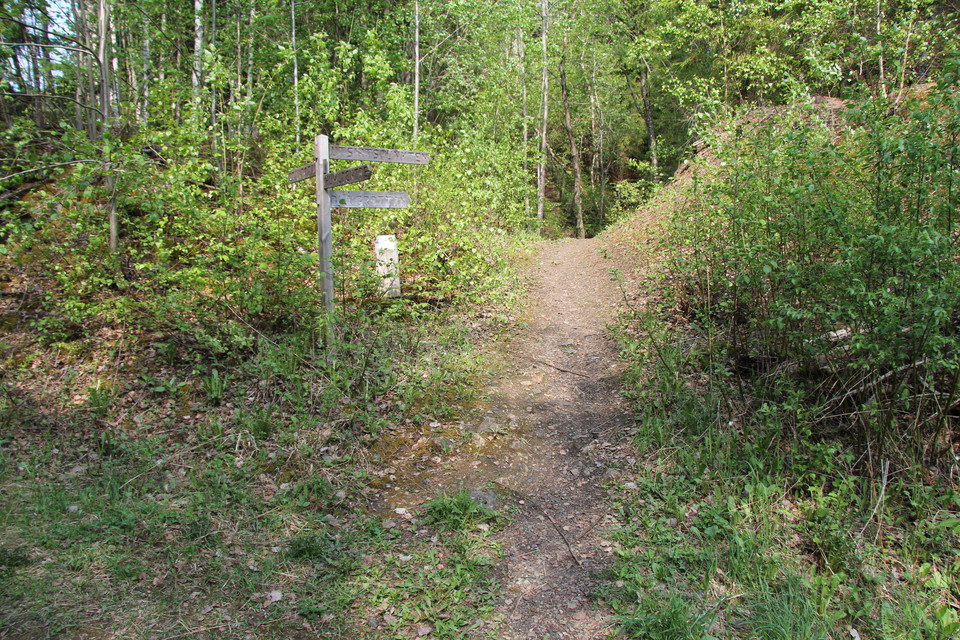 Träskyltar visar vägen.