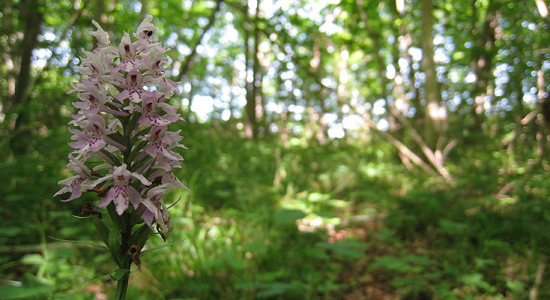 Fotograf: Malin Miller