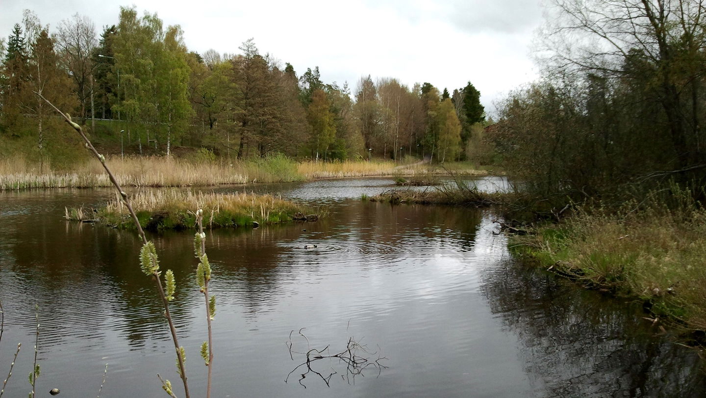 Rudbodakärret. Foto Lidingö stad