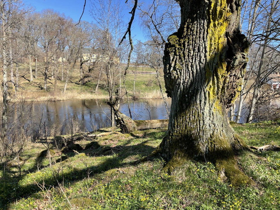 Rundslinga Sya 15 km