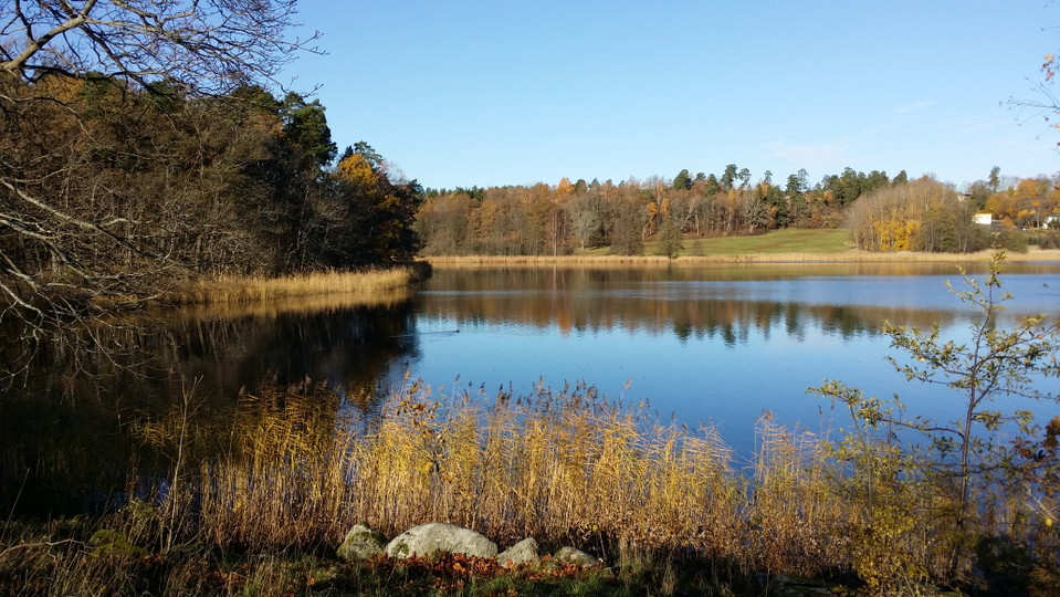 Gråviken sedd från strand väster om mynningen. Foto Lidingö stad