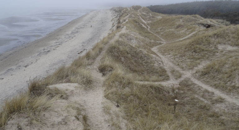 Vy ovanifrån där du kan se när hav möter land samt stigarna som gjorts i marken