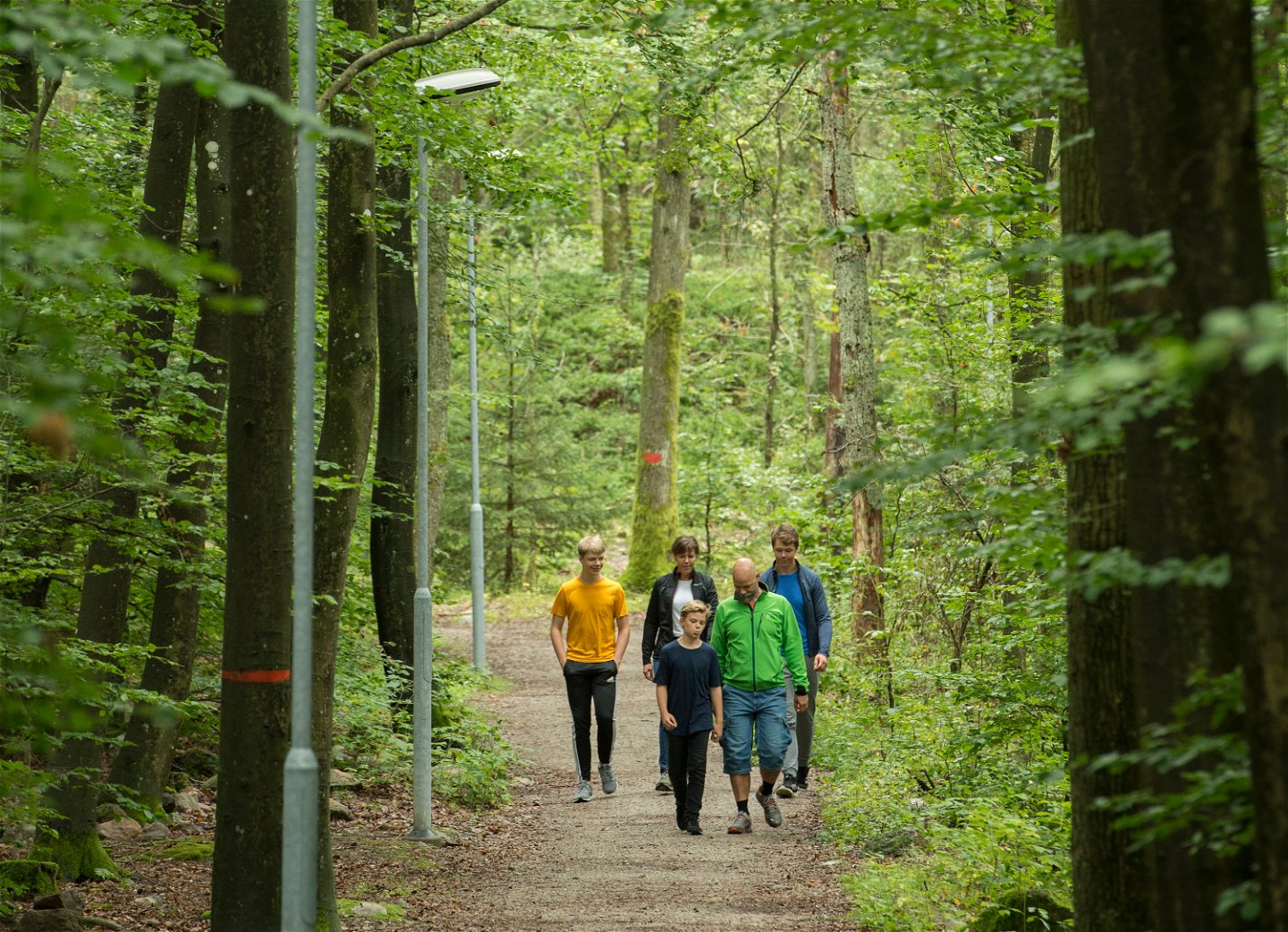 fem personer promenerar på anlagd grusstig i bokskog