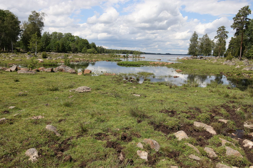 Foto: Niklas Kämpargård