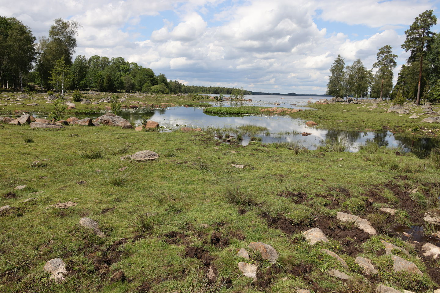 Foto: Niklas Kämpargård