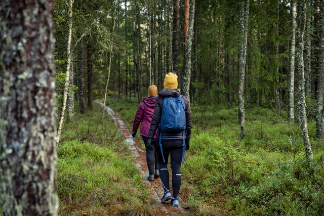 Vandringsslinga,  Grön 9,5 km Eseredssjön