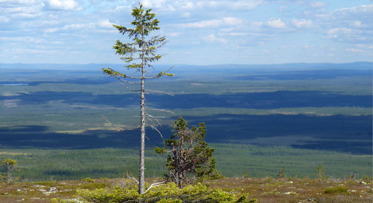 Sälen (Malung-Sälen)